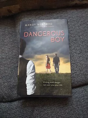 Dangerous Boy By Mandy Hubbard (2012 Hardcover) • $8.95