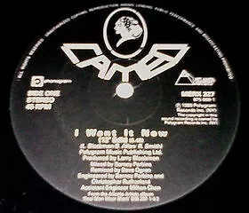 Cameo - I Want It Now - UK 12  Vinyl - 1990 - Mercury • £6.74