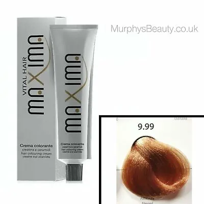 £6.95 • Buy Maxima Professional Hair Colour (100ml) (9.99 Almond)
