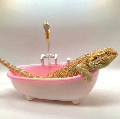 $18.99 • Buy Bearded Dragon Bath Tub Spa Fully Automatic For Reptiles, Birds, Hampsters PINK