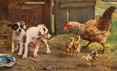 Puppies And Chickens ‘Trespassers’ By Artist Sydney Hayes 1907 Postcard ARTOTYPE • $12.99