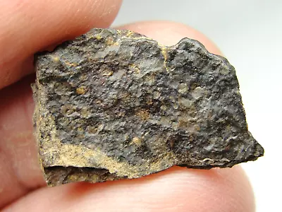 NWA 7980 Official L3.10 Type 3 Chondrite Meteorite - G415-0005 - 1.77g 100 CLUB • $176.95