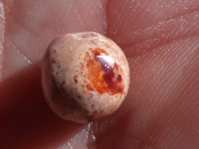 3.41 Ct. Mexican Cantera Fire Opal Bead • $145