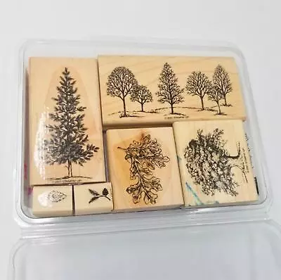 Stampin Up Lovely As A Tree Maple Pine Fir Wood Mounted Nature Rubber Stamp Set • $34.97