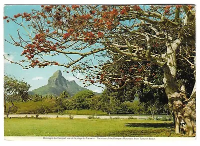 MAURITIUS - REMPART MOUNTAIN FROM TAMARIN BEACH 1977 Postcard • £2.50