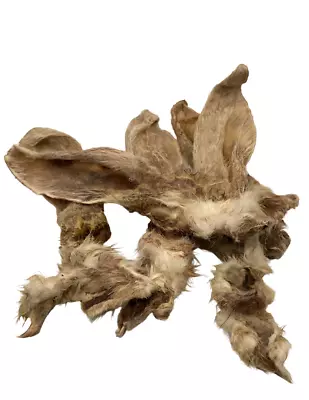 1KG Rabbit Ears Natural Dog Treat Healthy Low Fat Air Dried Chew 50-70 Approx • £22.99