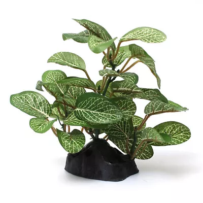 $6.70 • Buy Fish Tank Fake Plastic Grass Accessories Decor Plant For Fish Tank Aquarium AU