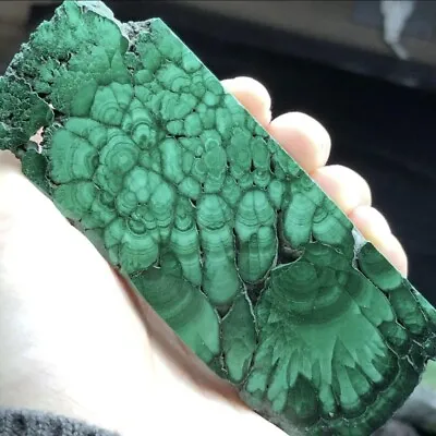 107g Polished Malachite Slice Slab Mineral Crystal Specimen High Gloss • $48