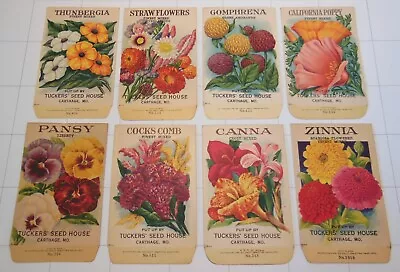 8 Vintage FLOWER SEED PACKETS (G9)-Galloway Litho Co-2 3/4 X4 3/8 -Tuckers' Seed • $28