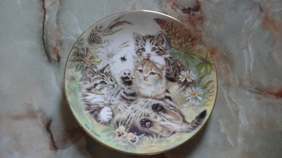 £3.50 • Buy Royal Worcester 150th Anniversary Of Rspca Whoops A Daisy! Collectors Plate