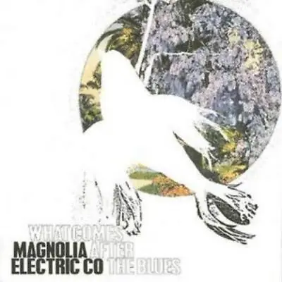 Magnolia Electric Co. What Comes After The Blues (CD) Album • £21.02