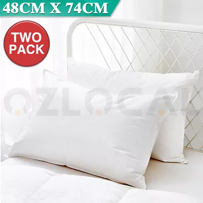 2 Pack Standard Pillows Soft Firm Cotton Cover Hotel Quality Home Bedding Pillow • $21.99