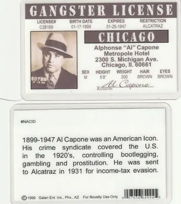 Mafia Mob Boss Ganster Al Capone Of Chicago Fun Halloween Costume Gear  • $8.96