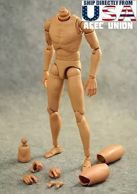 1/6 Narrow Shoulder Male Figure Body For Hot Toys TTM18 TTM19 TTM21 USA SELLER • $19.94