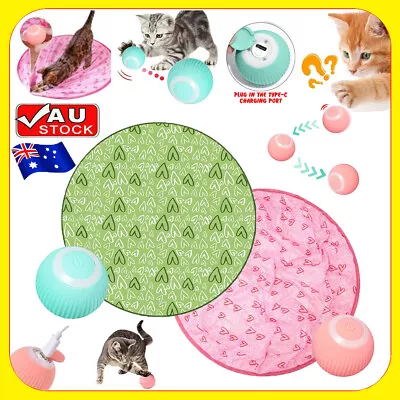 2 In 1 Simulated Interactive Hunting Cat ToyGuitar Cat Toy Gertar Cat Tunnel T • $11.39