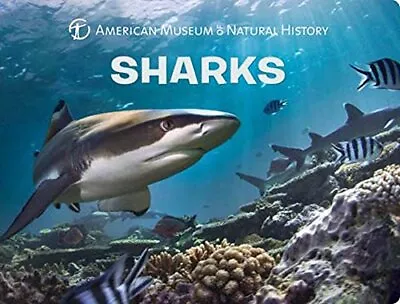 Sharks (Science For Toddlers) • $5.20