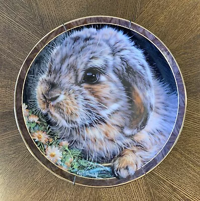 1998 Bunny Tales  Ms. Daisy  By Vivi Crandall Limited Edition Plate #7059A • $17