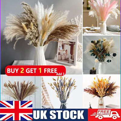 25-84Pcs Pampas Grass Natural Dried Flowers DIY Feather Grass Bouquet Home Decor • £7.99