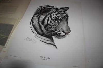 Vintage Regency House Guy Coheleach Signed Print White Tiger Head • $125