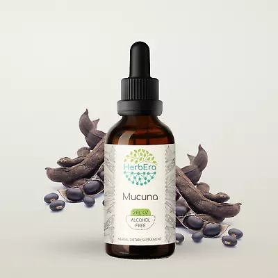 HerbEra Mucuna Alcohol-FREE Tincture Organic Mucuna (Mucuna Pruriens) • $21.97