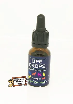 £13.50 • Buy Herbal Kick Start Life Drops For Puppies Phyopet 10ml For Your Whelping Kit 