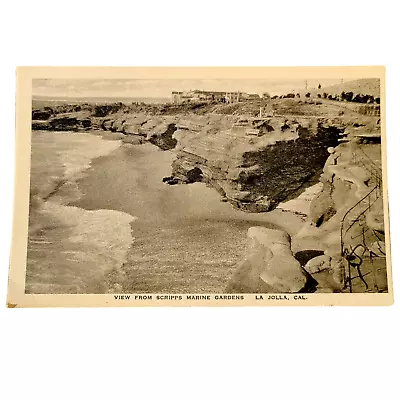 RARE 1905 La Jolla California Postcard View From Scripps Marine Gardens CA • $19