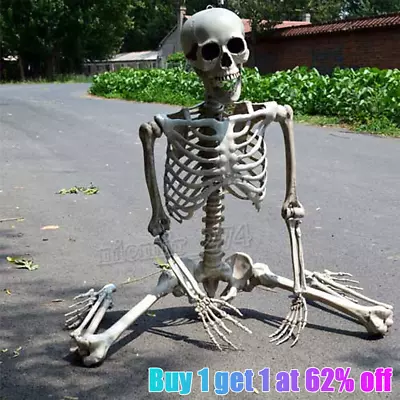 Giant Life Size Human Skeleton Model Horror Bone Posable Halloween Decor 40cm • £7.91