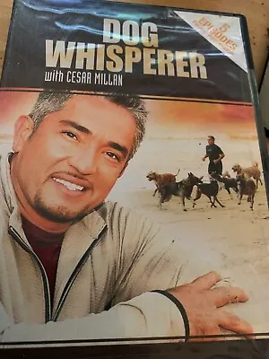 Dog Whisperer With Cesar Millan DVD 5 Episodes Focus Aggression Region 1 • £18