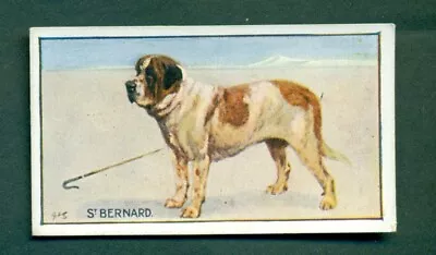 DOGS - ST BERNARD MURRAY TYPES OF DOGS No.3  TYPE CARD • £4