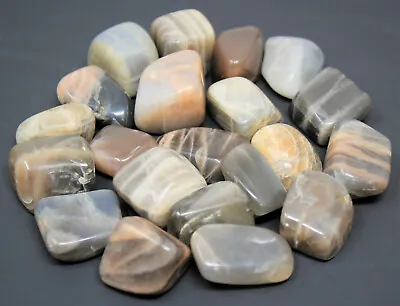 1/2 Lb Bulk Lot BLACK Moonstone Tumbled Stone Crystal Healing Reiki Tumble 8 Oz • $20.95