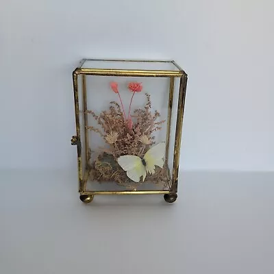 Vintage MCM Natural Patina Brass Glass Case Box Terrarium Dried Floral Butterfly • $23.99