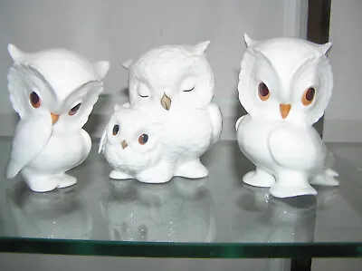 £19.95 • Buy Beautiful Lot Of Royal Osborne White Bone China Owls Set Of 3 Tmr3289 3409 1419