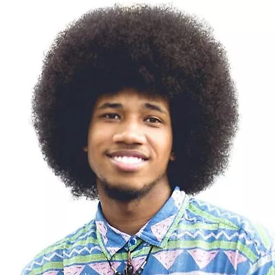 Afro Wig Men For Black Men Human Hair Afro Black Hair Wig 70's 80's Wigs For Men • $50.69