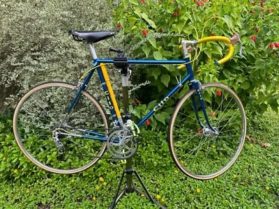 Vintage Cilo Team Bicycle Reynolds 531 Campagnolo; Flawless Condition • $1950