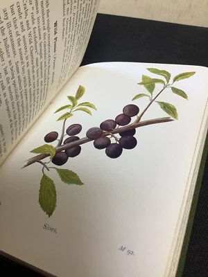 £12 • Buy Wayside And Woodland Trees Pocket Guide By Edward Step HB Undated C1900?