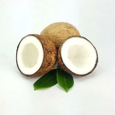 Coconut Oil Refined 12.5 Kg 100% PURE Natural Bulk Soap Making • £43.99