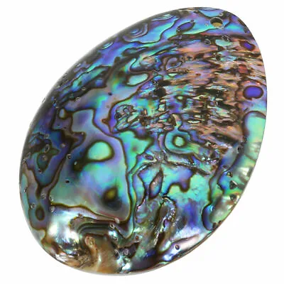 Blue Paua Abalone Shell Pendant Necklace Silver Dragonfly Sun Flower 6 StylesUK • £4.99