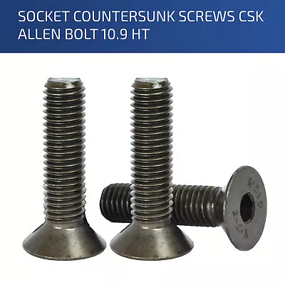 £1.09 • Buy M2 M2.5 M3 M4 M5 M6 Countersunk Socket Screws High Tensile Allen Key Bolt 10.9