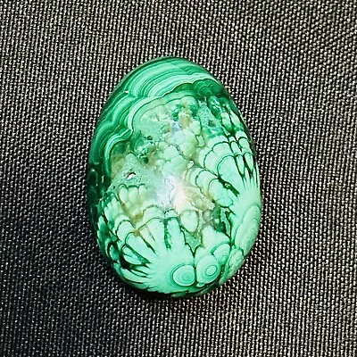 Amazing Green Malachite Egg With Beautiful Markings High Quality 72 Gms - MAL26 • $34