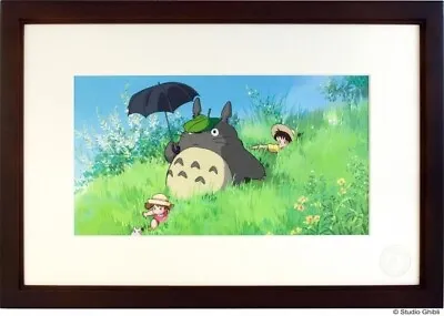 My Neighbor Totoro 30th Anniversary Limited 100 Original Art Cel Studio Ghibli • $5999