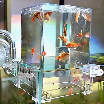 Acrylic Aquarium Fish Tank With Bracket For Ecological Observation Viewing • £17.84