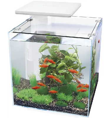 Superfish QubiQ 30 LED White 30L Nano Cube Aquarium Fish Tank Filter & LED Light • £79.49