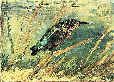 Kingfisher By Vincent Van Gogh Art Painting Print • $10.99