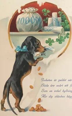 Dog DACHSHUND Dackel Teckel  Money Bag Old Dog Postcard Hund Chien 1911 • $12.50