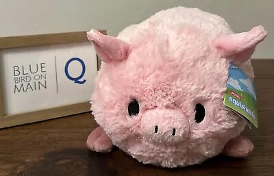 Mini Squishable Pig Piggy Plush Stuffed Animal 10  • $19.99