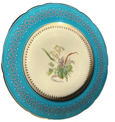 Antique Minton Turquoise Botanic Violets Hand Paint Raised Cabinet Plate 9.25  • £37.06