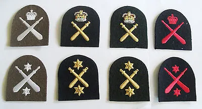£9.95 • Buy Royal Marines Physical Training Instructor (pti) Tombstone Badges