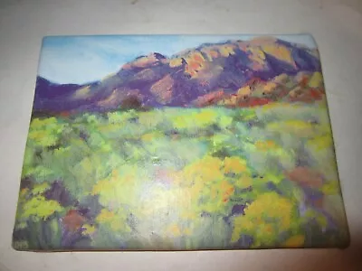 American Girl Of Year 2013 Saige Copeland Painting MOUNTAIN SCAPE Canvas Only • $17.11