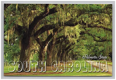 Postcard 4x6 SC Boone Hall Avenue Oak Trees View Mount Pleasant South Carolina  • $9.95