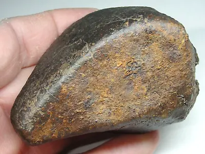 Meteorite - Oriented - Top Quality - Rare Orientation - SLS-1912 - 304.0g Superb • $159.95